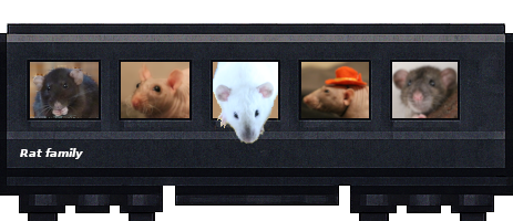 Wagon de Isy_lancien